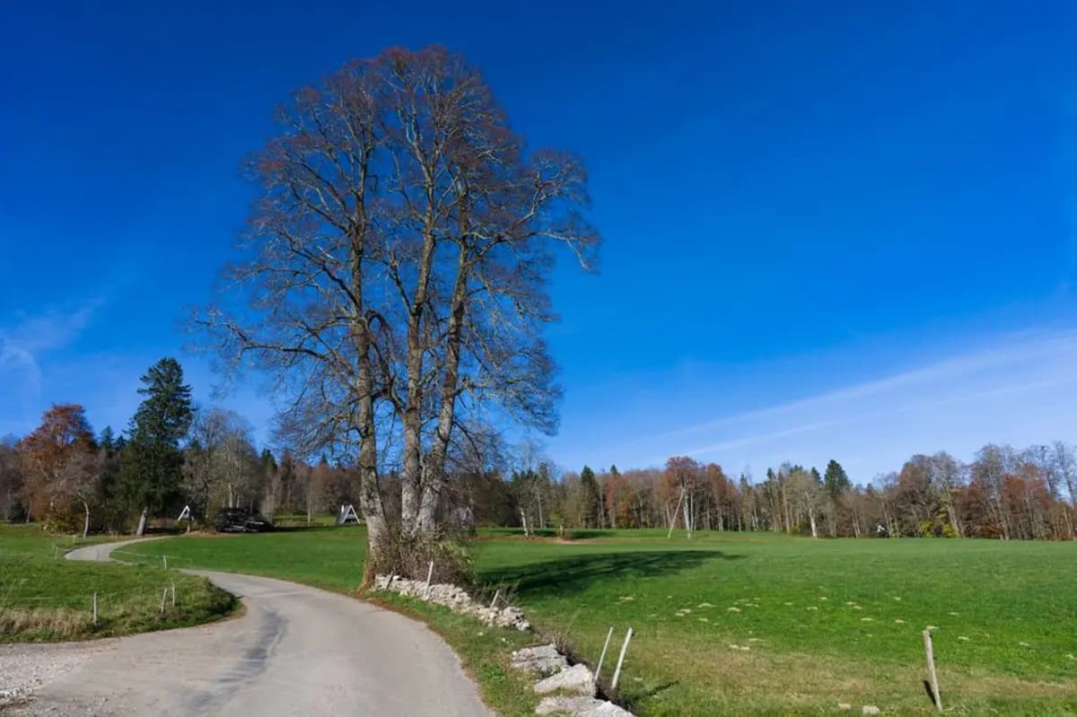 Ansicht des Kantons Jura, Schweiz